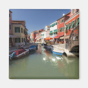 Schwäne im Kanal, Burano-Insel, Venedig, Italien Magnet