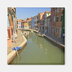Schwäne im Kanal, Burano-Insel, Venedig, Italien Magnet