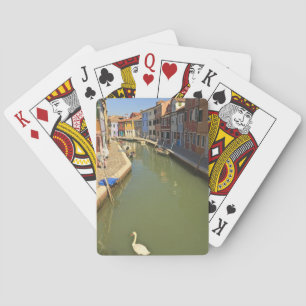 Schwäne im Kanal, Burano-Insel, Venedig, Italien Spielkarten
