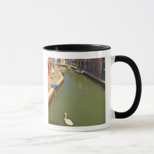 Schwäne im Kanal, Burano-Insel, Venedig, Italien Tasse