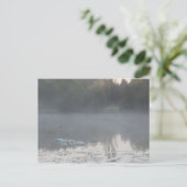 Schwäne im Nebel Postkarte (Stehend Vorderseite)