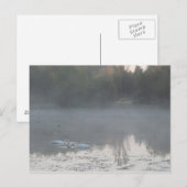 Schwäne im Nebel Postkarte (Vorne/Hinten)
