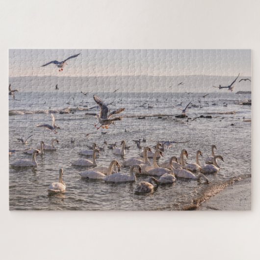 Schwäne im Schwarzmeer-Puzzle Puzzle (Horizontal)