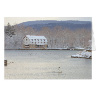 Schwäne im Teich mit Mühle und Hügeln