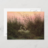 Schwäne in den Reds, c.1820 Postkarte (Vorne/Hinten)