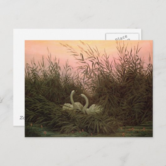 Schwäne in den Reds, c.1820 Postkarte (Vorne/Hinten)