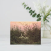 Schwäne in den Reds, c.1820 Postkarte (Stehend Vorderseite)