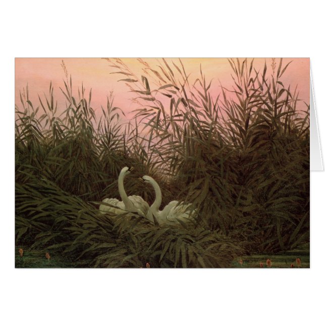 Schwäne in den Schilfen, c.1820 (Vorderseite (Horizontal))