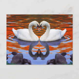 Schwäne in der Liebe küssen, Herzformen Necks Postkarte