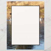 Schwäne in Enten-Stationierblech (Vorderseite)