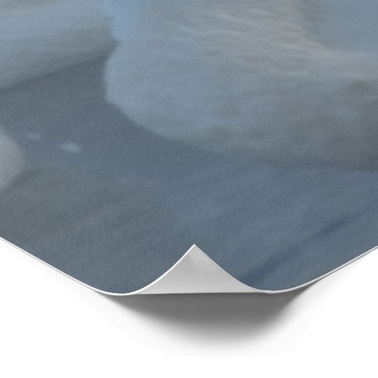 Schwäne in Morning Fog (Cygnus-Bikinator) Poster (Ecke)