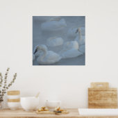 Schwäne in Morning Fog (Cygnus-Bikinator) Poster (Küche)