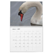 Schwäne Kalender (Mär 2027)