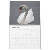 Schwäne Kalender (Jan 2027)