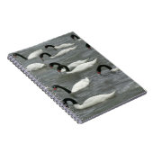 Schwäne mit schwarzhaltigem Hals (Cygnus melancory Notizblock (Rechte Seite)