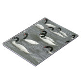 Schwäne mit schwarzhaltigem Hals (Cygnus melancory Notizblock (Linke Seite)