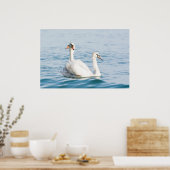 Schwäne Poster (Küche)