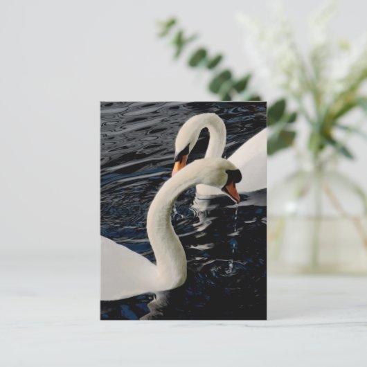 Schwäne Postkarte (Stehend Vorderseite)