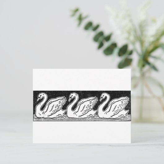 Schwäne Postkarte (Stehend Vorderseite)