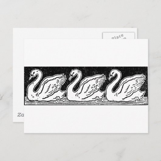 Schwäne Postkarte (Vorne/Hinten)