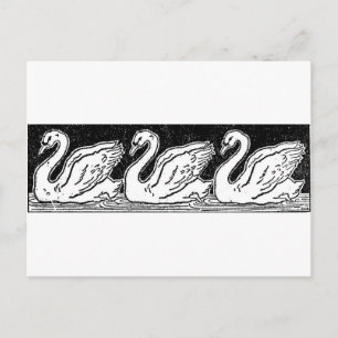 Schwäne Postkarte