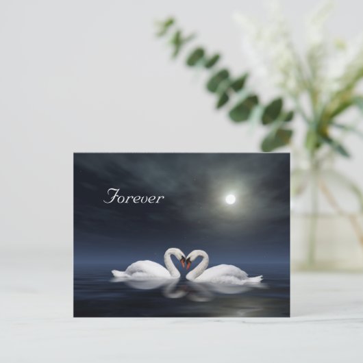 Schwäne Postkarte (Stehend Vorderseite)