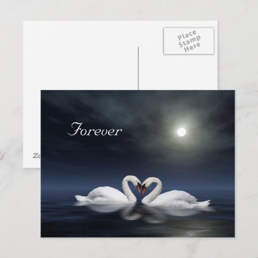 Schwäne Postkarte (Vorne/Hinten)
