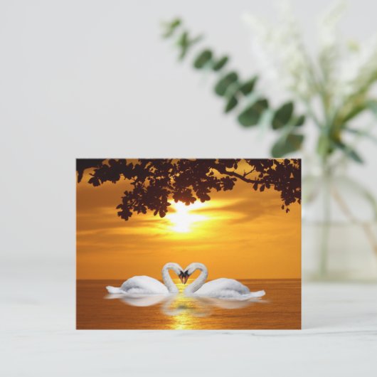 Schwäne Postkarte (Stehend Vorderseite)