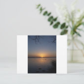 Schwäne Postkarte (Stehend Vorderseite)