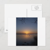 Schwäne Postkarte (Vorne/Hinten)