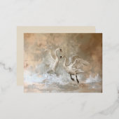 Schwäne - Postkarten aufdecken (Vorderseite/Rückseite)