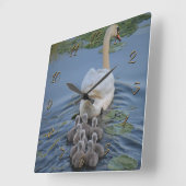 Schwäne Quadratische Wanduhr (Winkel)