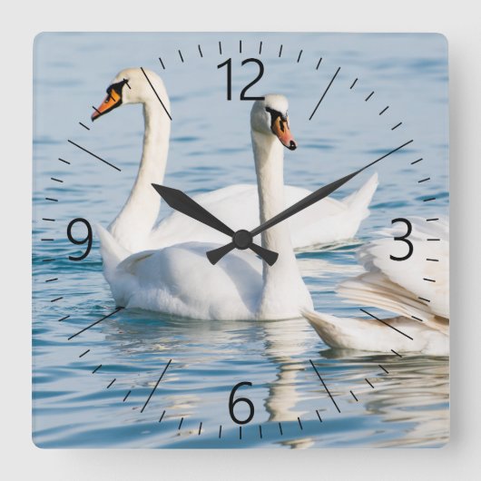 Schwäne Quadratische Wanduhr (Vorderseite)