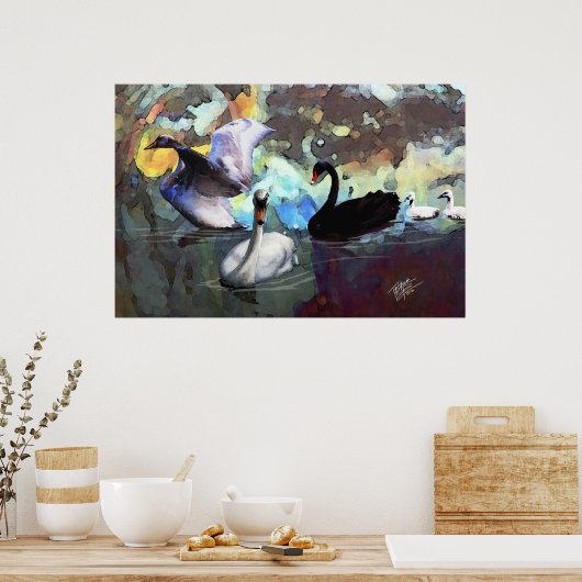 Schwäne schwimmen poster (Küche)