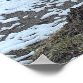 Schwäne, See und eine Bank - Poster (Ecke)