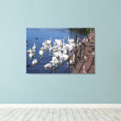 Schwäne und andere Vögel im Roath Park Lake Cardif Leinwanddruck (Insitu (Holzboden))