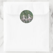 Schwäne und Aufkleber für Cygnets (Tasche)