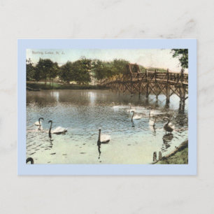 Schwäne und die Brücke, Spring Lake, NJ Vintage Postkarte
