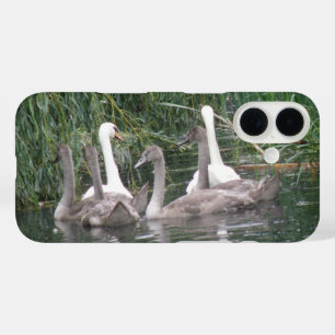 Schwäne und junge Schwäne iPhone 16 Hülle