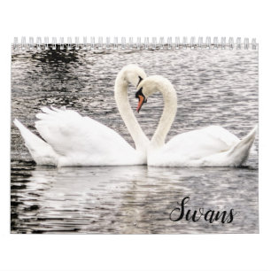 Schwäne von Spring Grove Kalender