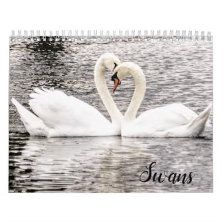 Schwäne von Spring Grove Kalender