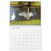 Schwäne von Spring Grove  Kalender (Mär 2027)