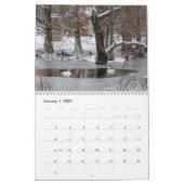 Schwäne von Spring Grove  Kalender (Jan 2027)