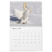 Schwäne von Spring Grove  Kalender (Feb 2027)