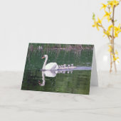 Schwanenfamilie Karte (Gelbe Blume)