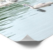 Schwanenfamilie Poster (Ecke)