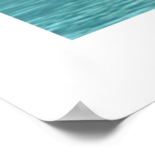 Schwanenfamilie Poster (Ecke)