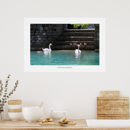 Schwanenfamilie Poster (Küche)