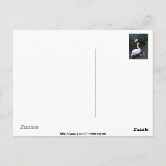 Schwanenfamilie - Postkarte (Rückseite)