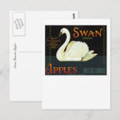 Schwanenmarken-Äpfel Postkarte (Vorne/Hinten)